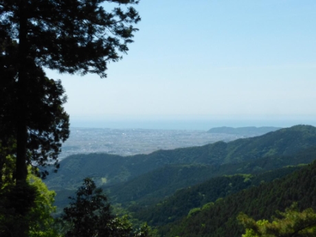 画像9